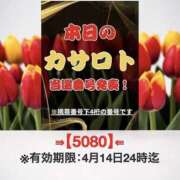 ヒメ日記 2026/04/01 17:04 投稿 鈴谷ゆうり 五十路マダム　和歌山店