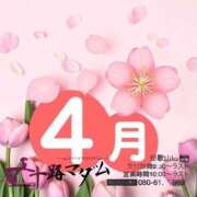 ヒメ日記 2026/04/01 18:28 投稿 鈴谷ゆうり 五十路マダム　和歌山店