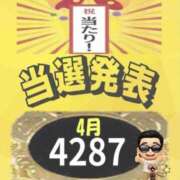 ヒメ日記 2026/04/02 11:32 投稿 鈴谷ゆうり 五十路マダム　和歌山店