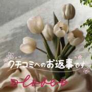 ヒメ日記 2026/04/02 17:14 投稿 鈴谷ゆうり 五十路マダム　和歌山店