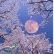 ヒメ日記 2026/04/03 01:48 投稿 鈴谷ゆうり 五十路マダム　和歌山店