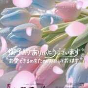 ヒメ日記 2026/04/03 18:06 投稿 鈴谷ゆうり 五十路マダム　和歌山店