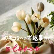 ヒメ日記 2026/04/05 15:18 投稿 鈴谷ゆうり 五十路マダム　和歌山店