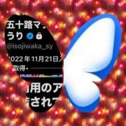ヒメ日記 2026/04/06 06:20 投稿 鈴谷ゆうり 五十路マダム　和歌山店