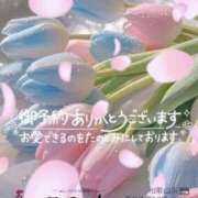 ヒメ日記 2026/04/08 21:02 投稿 鈴谷ゆうり 五十路マダム　和歌山店