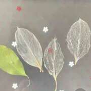 ヒメ日記 2026/04/09 14:40 投稿 鈴谷ゆうり 五十路マダム　和歌山店