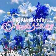ヒメ日記 2026/04/10 09:54 投稿 鈴谷ゆうり 五十路マダム　和歌山店