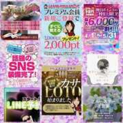 ヒメ日記 2026/04/14 07:16 投稿 鈴谷ゆうり 五十路マダム　和歌山店