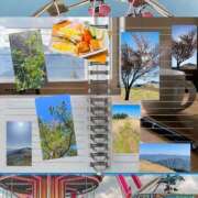 ヒメ日記 2026/04/17 10:24 投稿 鈴谷ゆうり 五十路マダム　和歌山店