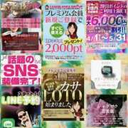 ヒメ日記 2026/04/17 11:18 投稿 鈴谷ゆうり 五十路マダム　和歌山店