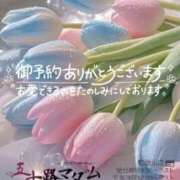 ヒメ日記 2026/04/17 17:14 投稿 鈴谷ゆうり 五十路マダム　和歌山店