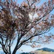 ヒメ日記 2026/04/17 18:36 投稿 鈴谷ゆうり 五十路マダム　和歌山店