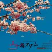 ヒメ日記 2026/04/18 00:14 投稿 鈴谷ゆうり 五十路マダム　和歌山店