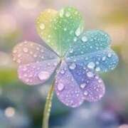 ヒメ日記 2026/04/23 12:32 投稿 鈴谷ゆうり 五十路マダム　和歌山店