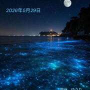 ヒメ日記 2026/05/30 01:34 投稿 鈴谷ゆうり 五十路マダム　和歌山店