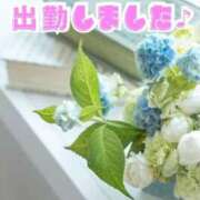 ヒメ日記 2026/06/05 17:36 投稿 鈴谷ゆうり 五十路マダム　和歌山店