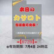 ヒメ日記 2026/06/21 13:02 投稿 鈴谷ゆうり 五十路マダム　和歌山店
