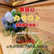 ヒメ日記 2026/06/22 13:02 投稿 鈴谷ゆうり 五十路マダム　和歌山店