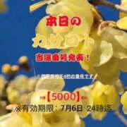 ヒメ日記 2026/06/23 11:24 投稿 鈴谷ゆうり 五十路マダム　和歌山店