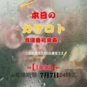ヒメ日記 2026/06/24 18:44 投稿 鈴谷ゆうり 五十路マダム　和歌山店
