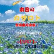 ヒメ日記 2026/06/28 10:52 投稿 鈴谷ゆうり 五十路マダム　和歌山店