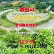 ヒメ日記 2026/06/29 11:04 投稿 鈴谷ゆうり 五十路マダム　和歌山店
