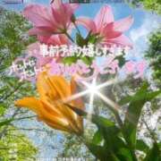 ヒメ日記 2026/06/30 08:36 投稿 鈴谷ゆうり 五十路マダム　和歌山店