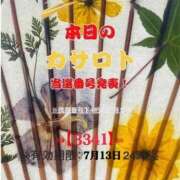 ヒメ日記 2026/06/30 09:40 投稿 鈴谷ゆうり 五十路マダム　和歌山店