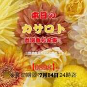 ヒメ日記 2026/07/01 12:20 投稿 鈴谷ゆうり 五十路マダム　和歌山店