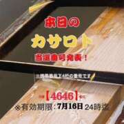 ヒメ日記 2026/07/03 11:20 投稿 鈴谷ゆうり 五十路マダム　和歌山店