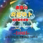 ヒメ日記 2026/07/05 11:44 投稿 鈴谷ゆうり 五十路マダム　和歌山店
