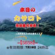 ヒメ日記 2026/07/06 09:34 投稿 鈴谷ゆうり 五十路マダム　和歌山店