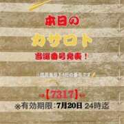 ヒメ日記 2026/07/07 10:50 投稿 鈴谷ゆうり 五十路マダム　和歌山店