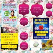 ヒメ日記 2026/07/08 06:56 投稿 鈴谷ゆうり 五十路マダム　和歌山店