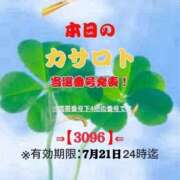 ヒメ日記 2026/07/08 11:32 投稿 鈴谷ゆうり 五十路マダム　和歌山店