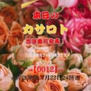 ヒメ日記 2026/07/09 11:56 投稿 鈴谷ゆうり 五十路マダム　和歌山店
