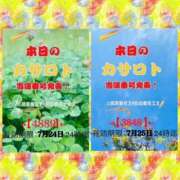 ヒメ日記 2026/07/12 17:00 投稿 鈴谷ゆうり 五十路マダム　和歌山店