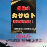 ヒメ日記 2026/07/13 11:58 投稿 鈴谷ゆうり 五十路マダム　和歌山店