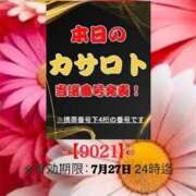 ヒメ日記 2026/07/14 14:10 投稿 鈴谷ゆうり 五十路マダム　和歌山店