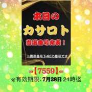 ヒメ日記 2026/07/15 10:02 投稿 鈴谷ゆうり 五十路マダム　和歌山店