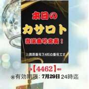 ヒメ日記 2026/07/16 16:16 投稿 鈴谷ゆうり 五十路マダム　和歌山店