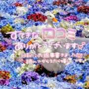 ヒメ日記 2026/07/16 16:32 投稿 鈴谷ゆうり 五十路マダム　和歌山店