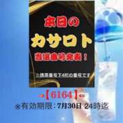 ヒメ日記 2026/07/17 11:48 投稿 鈴谷ゆうり 五十路マダム　和歌山店