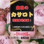 ヒメ日記 2026/07/21 11:44 投稿 鈴谷ゆうり 五十路マダム　和歌山店
