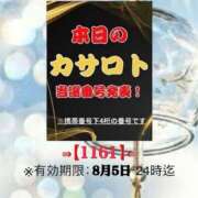 ヒメ日記 2026/07/23 13:16 投稿 鈴谷ゆうり 五十路マダム　和歌山店