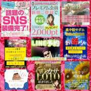 ヒメ日記 2026/08/05 08:14 投稿 鈴谷ゆうり 五十路マダム　和歌山店