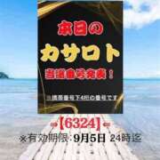ヒメ日記 2026/08/23 10:10 投稿 鈴谷ゆうり 五十路マダム　和歌山店