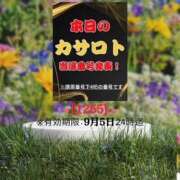 ヒメ日記 2026/08/24 13:22 投稿 鈴谷ゆうり 五十路マダム　和歌山店