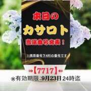 ヒメ日記 2026/09/10 11:08 投稿 鈴谷ゆうり 五十路マダム　和歌山店