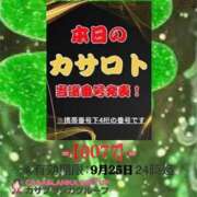 ヒメ日記 2026/09/12 17:04 投稿 鈴谷ゆうり 五十路マダム　和歌山店
